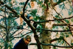 DSCN2532.JPG